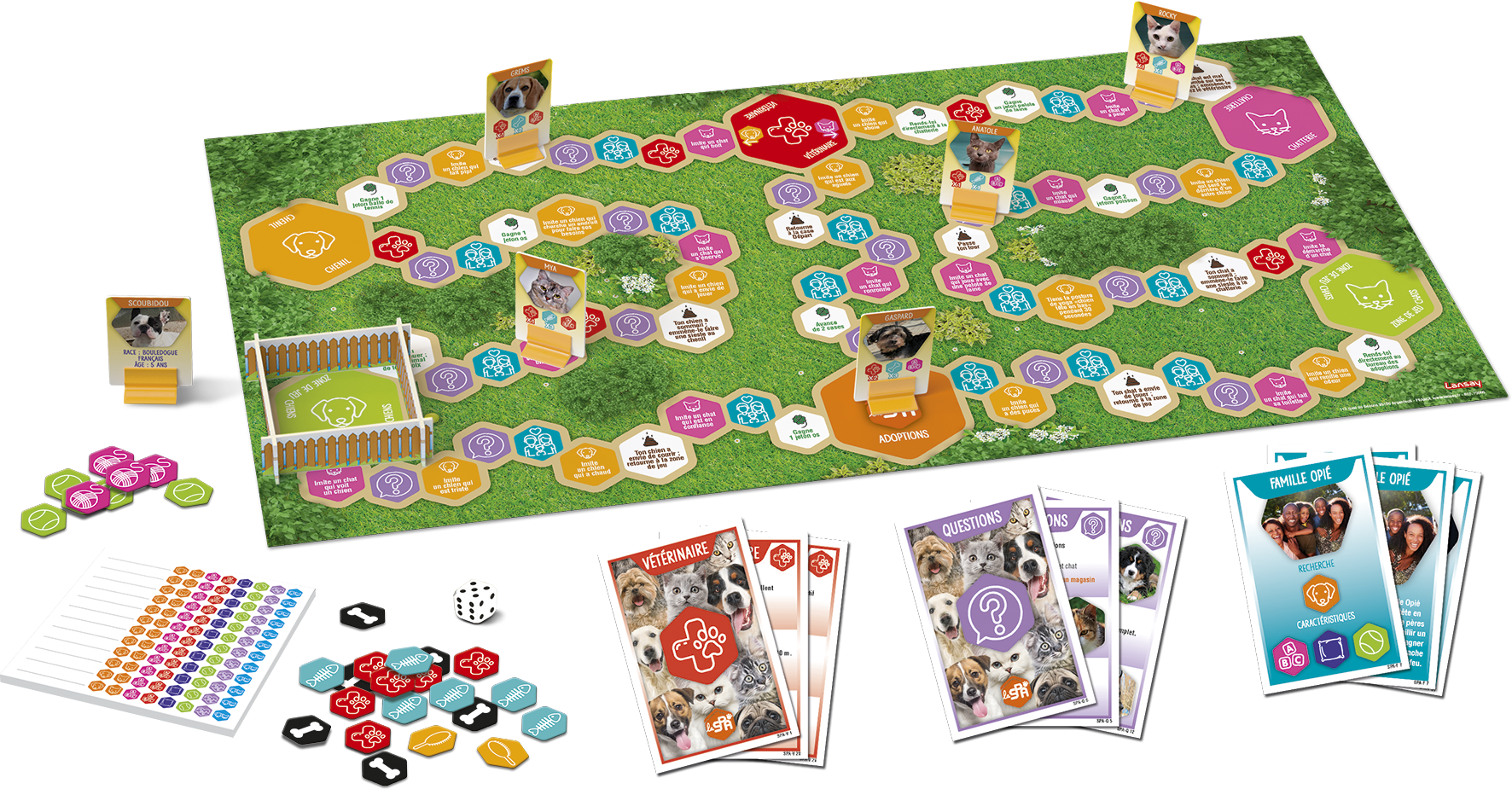 SPA, jeu de société, solidarité, animaux, adoption, chat, chien