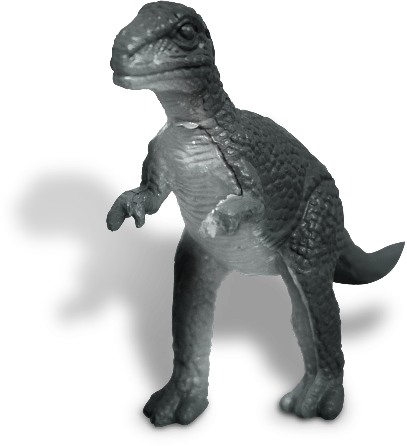 Vallée des dinosaures, jeux de société, j2s